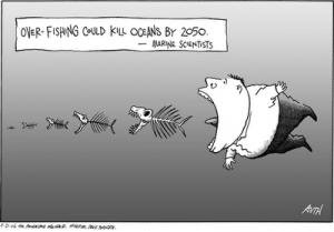 overfishing